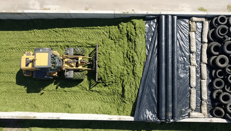 AI_Foto_Inkuilen_Gras_&_Folie